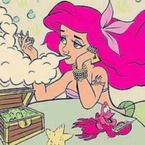 Meet your Posher, Jaylis